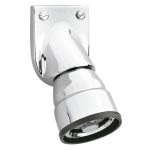 REGADERA INSTITUCIONAL AC110 261-AC110