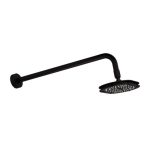 REGADERA CHORRO FIJO CON ANTICALCARIO PREMIER EBANO         261-H3005TR035EB